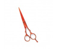 Professional Hair Cutting Scissors